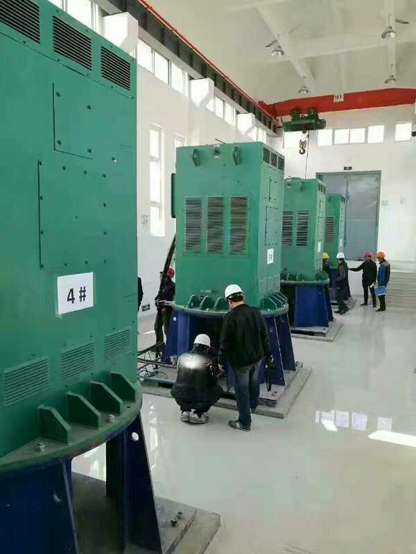 莘县某污水处理厂使用我厂的立式高压电机安装现场